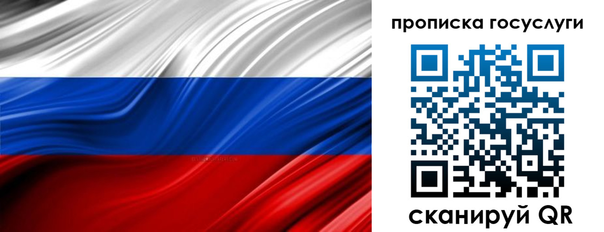 прописка паспорт в Сельцо